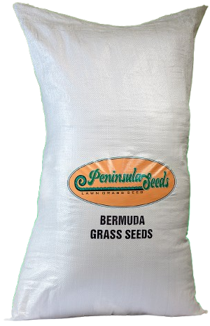 Bermuda Grass