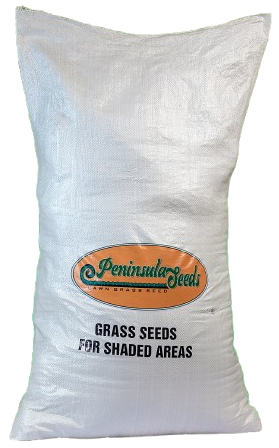 Grass Seed for Shaded Areas