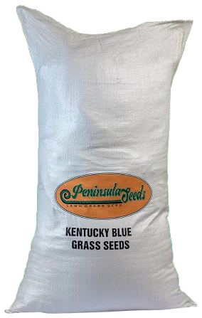 Kentucky Blue Grass