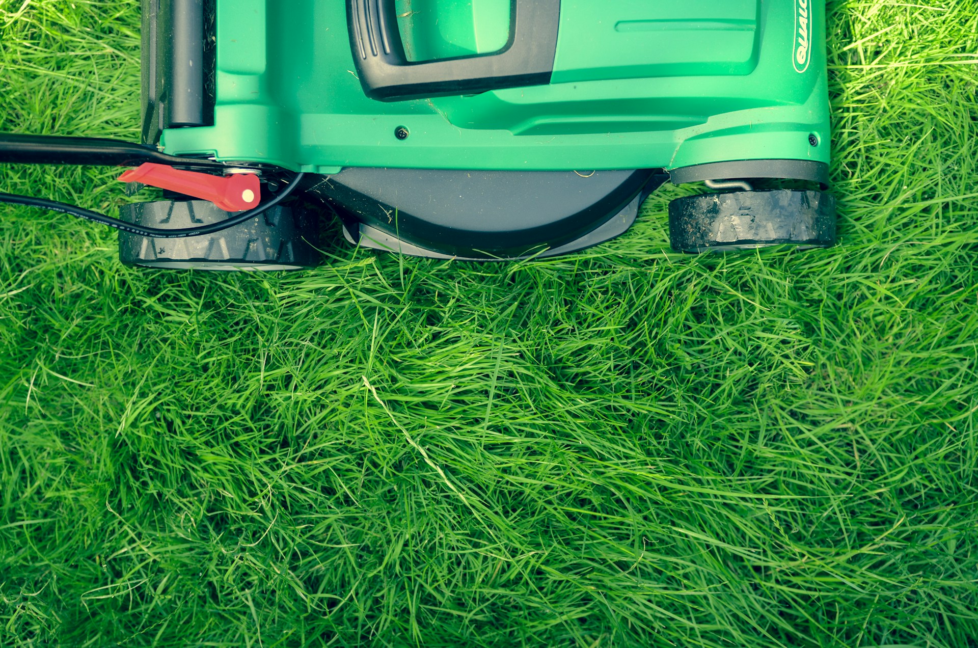 Freshly cut lawn