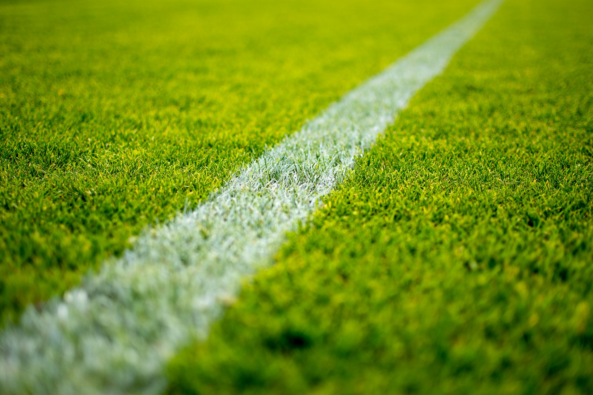 Manicured pitch lawn