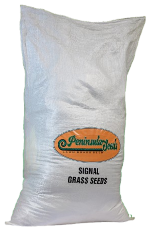 Signal Grass