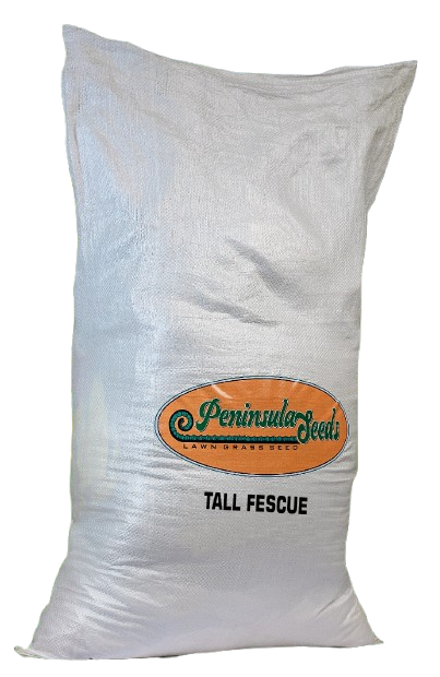 Tall Fescue Grass